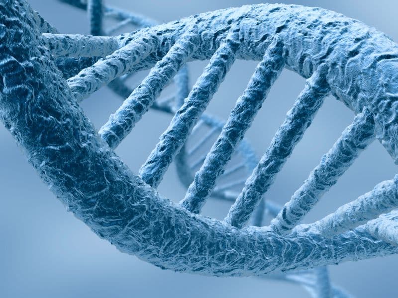 Common Household and Cosmetic Products Can Change the Epigenetics of Cells