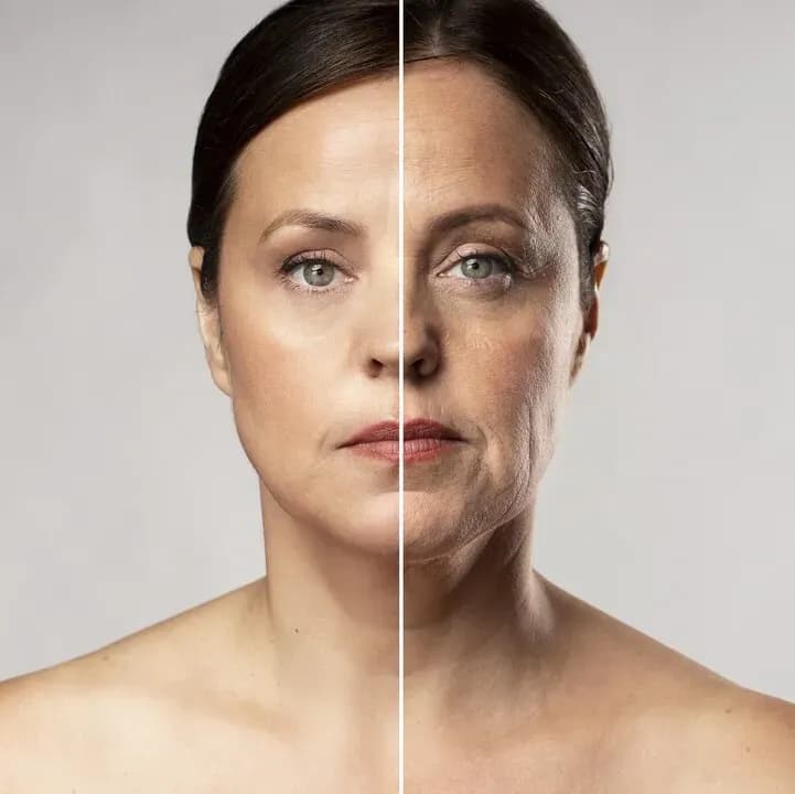 New Research Suggests That Cutting Exposure to Common Chemicals Could Slow Aging