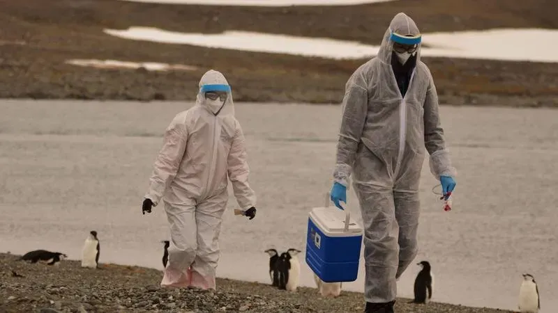 Pandemic Pandemic Potential- New Research Shows H5N1 Bird Flu Can Transmit Through Air